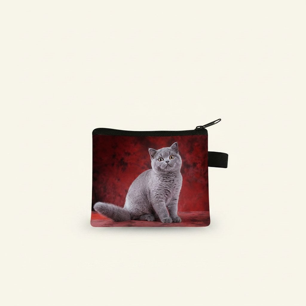 Photo studio produit